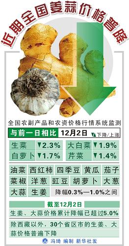 圖表:近期全國姜蒜價格普降 新華社發(fā)