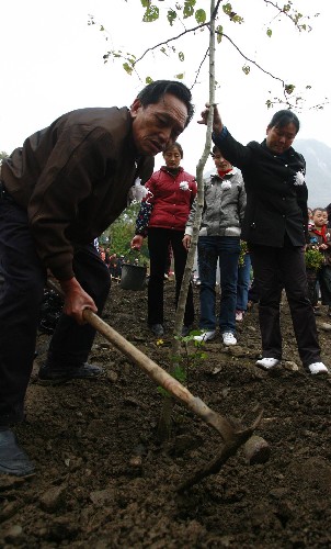 11月12日,地震幸存者在青川東河口地震遺址公園植樹悼念遇難者。