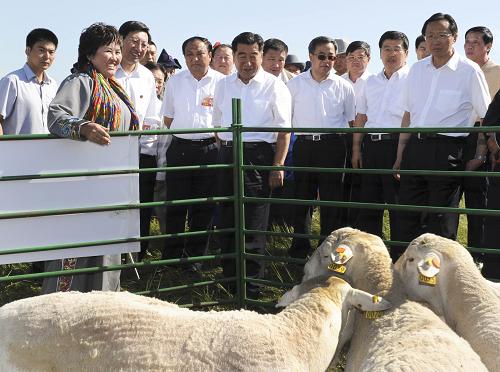 8月11日至12日,國務(wù)院在內(nèi)蒙古自治區(qū)呼倫貝爾市召開全國牧區(qū)工作會議。中共中央政治局委員、國務(wù)院副總理回良玉出席會議并講話。這是8月11日,回良玉在呼倫貝爾市鄂溫克族自治旗天地牧民農(nóng)機(jī)專業(yè)合作社考察。新華社記者 謝環(huán)馳 攝