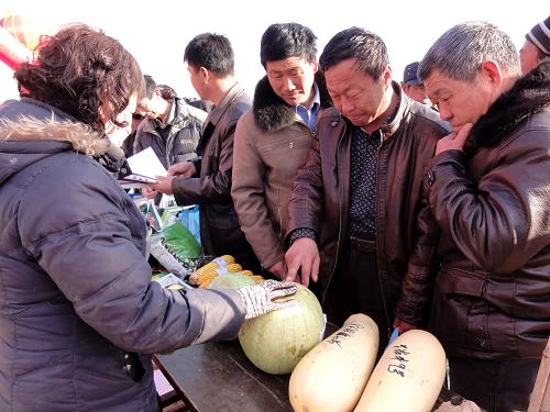 這是五原縣新公中鎮(zhèn)農(nóng)民在“三下鄉(xiāng)”活動現(xiàn)場咨詢種植新品種(2月21日攝)。新華社記者 張玥 攝