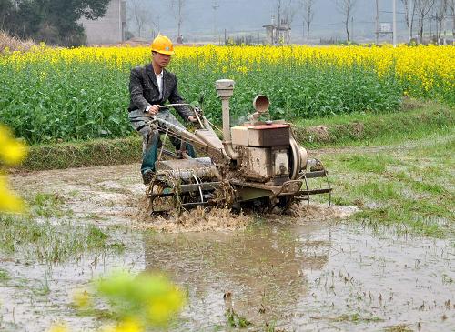 3月18日,江西德興市黃柏鄉(xiāng)農(nóng)民在田間耕耘早稻秧田。近日江西省德興市天氣回暖,當?shù)剞r(nóng)民抓住有利時機搶耕搶種,農(nóng)田里到處是一派繁忙的景象。新華社發(fā)(胡敦煌 攝)