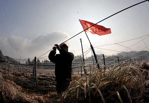 1月21日,在廣西桂林市資源縣中鋒鄉(xiāng)長(zhǎng)沖村,廣西水利電業(yè)集團(tuán)公司工人正在拉電線,準(zhǔn)備搶修線路。當(dāng)日,記者從廣西壯族自治區(qū)應(yīng)急辦了解到,截至1月20日16時(shí),廣西電網(wǎng)有15條線路被迫停運(yùn),共有10千伏及以上覆冰線路89條,110千伏嚴(yán)重覆冰線路1條。目前,廣西水利電業(yè)集團(tuán)公司所轄區(qū)域的配電網(wǎng)有215條正在緊急搶修。新華社記者 周華 攝