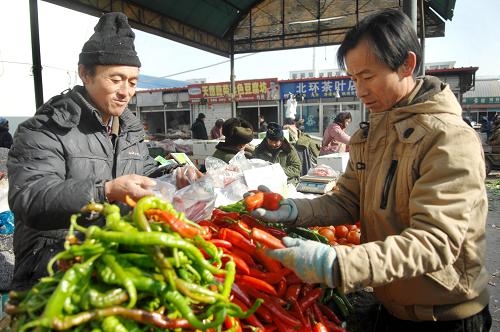 1月26日,在寧夏銀川北環(huán)蔬菜批發(fā)市場(chǎng)內(nèi),一位市民正在挑選辣椒。近日,受南方冰凍天氣影響,蔬菜的生產(chǎn)和運(yùn)輸成本增加,寧夏各大農(nóng)貿(mào)市場(chǎng)、超市的多種蔬菜價(jià)格小幅上漲,土豆、白菜、蘿卜等家常菜價(jià)格有較輕微的浮動(dòng),增長(zhǎng)較大的是黃瓜、辣椒、梅豆等鮮菜或外地菜,每斤價(jià)格平均上漲超過(guò)1元。新華社記者 彭昭之 攝