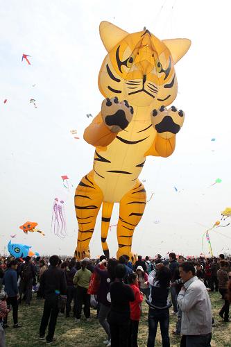 4月17日,在第28屆濰坊國(guó)際風(fēng)箏會(huì)上,來自馬來西亞的代表隊(duì)放飛老虎風(fēng)箏。新華社發(fā)(孫樹寶 攝)