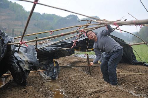 4月17日,貴州冰雹重災(zāi)區(qū)長順縣營盤鄉(xiāng),一位村民在修復(fù)垮塌的大棚。新華社記者 歐東衢 攝