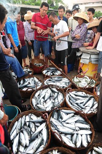 5月15日,瓊海市漁民在潭門港碼頭進(jìn)行魚貨交易。新華社發(fā)(蒙鐘德 攝)
