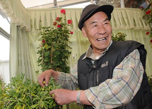 2009年1月20日,旺堆在家中照料花草。旺堆從過(guò)去的農(nóng)奴成長(zhǎng)為國(guó)家一級(jí)演員,讓他贏得了人生中輝煌的時(shí)刻--1963年,在中國(guó)第一部西藏題材的影片《農(nóng)奴》中扮演男主角農(nóng)奴強(qiáng)巴。這一年,他30歲,從上海戲劇學(xué)院畢業(yè)僅僅1年。 目前,西藏民族團(tuán)結(jié)、經(jīng)濟(jì)發(fā)展、民生改善、文化繁榮、社會(huì)穩(wěn)定、人民幸福,正處于歷史上最好的發(fā)展時(shí)期。60年來(lái),從和平解放到民主改革,從自治區(qū)成立到改革開(kāi)放,在祖國(guó)的懷抱中,西藏實(shí)現(xiàn)了從封建農(nóng)奴制到社會(huì)主義制度的歷史性跨越,政治制度的歷史性變革為西藏的發(fā)展進(jìn)步提供了制度保障。 新華社記者 索朗羅布 攝
