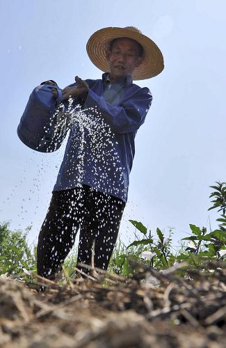 5月29日,在江西德興市銀城鎮(zhèn)小吳園村,農(nóng)民用灑水壺澆蔬菜。 針對江西省嚴重旱災(zāi),國家減災(zāi)委、民政部于當日13時緊急啟動國家四級救災(zāi)應(yīng)急響應(yīng),派出工作組趕赴災(zāi)區(qū),查看災(zāi)情,協(xié)助開展救災(zāi)工作。據(jù)江西省民政廳報告,截至5月29日12時統(tǒng)計,近期嚴重干旱災(zāi)害已造成生活困難需政府救助人口111.8萬人。 新華社發(fā)(胡敦煌 攝)