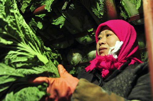 新疆昌吉六工鎮(zhèn)菜農(nóng)張茂美在自家保鮮庫中翻白菜剔除爛葉(12月8日攝)。新華社記者 王菲 攝