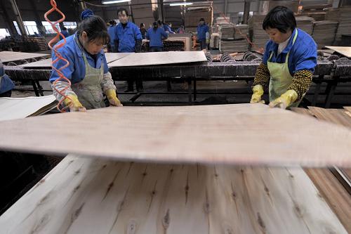 12月10日,浙江裕華木業(yè)的工人在給地板上膠水,由該企業(yè)自主研發(fā)的專用環(huán)保膠水是企業(yè)“雙反”完勝的因素之一。 2011年10月,美國(guó)商務(wù)部已針對(duì)中國(guó)多層實(shí)木地板產(chǎn)品發(fā)起的反傾銷和反補(bǔ)貼調(diào)查做出最終裁決,浙江裕華木業(yè)的反傾銷和反補(bǔ)貼稅率均為零,該企業(yè)成為中國(guó)入世以來(lái)美國(guó)對(duì)我“雙反”調(diào)查中唯一獲得“雙零”稅率的企業(yè)。2010年10月,美國(guó)對(duì)中國(guó)出口的多層木地板啟動(dòng)反補(bǔ)貼反傾銷調(diào)查,中國(guó)169家企業(yè)涉案,一旦敗訴,中國(guó)相關(guān)企業(yè)將被迫繳納高達(dá)242.2%的懲罰性反傾銷稅。浙江裕華木業(yè)針對(duì)美國(guó)的“雙反”調(diào)查展開(kāi)積極應(yīng)對(duì),一年來(lái)企業(yè)應(yīng)答了美方4000多頁(yè)的問(wèn)卷和美國(guó)商務(wù)部的實(shí)地核查,并聘請(qǐng)了中美雙方兩個(gè)律師團(tuán)隊(duì)十余人進(jìn)行應(yīng)訴。浙江裕華木業(yè)最終憑借企業(yè)完善的產(chǎn)業(yè)鏈、產(chǎn)品的高附加值、新工藝和新技術(shù)的應(yīng)用和21項(xiàng)的專利技術(shù),最終獲得“雙反”的完勝。 新華社記者王定昶攝