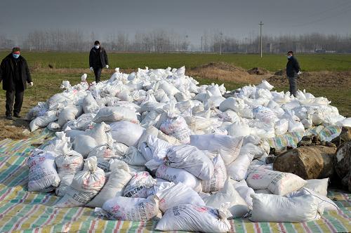 1月7日,安徽省亳州市利辛縣舊城鎮(zhèn)豐橋村已關(guān)閉拆除的馬橋輪窯場(chǎng)旁,當(dāng)?shù)丨h(huán)保部門(mén)組織專(zhuān)業(yè)工作人員將該處受污染的泥土全部統(tǒng)一裝袋后進(jìn)行無(wú)害化處理。近日,記者從亳州市委宣傳部獲悉,該市利辛、渦陽(yáng)兩縣境內(nèi)發(fā)生傾倒危險(xiǎn)化學(xué)品事件,共發(fā)現(xiàn)危險(xiǎn)化學(xué)廢棄物22噸,目前6名嫌疑人被公安機(jī)關(guān)控制。當(dāng)?shù)卣岩蟓h(huán)保部門(mén)指導(dǎo)清除污染,并要求公安機(jī)關(guān)立案調(diào)查,妥善做好周邊群眾維穩(wěn)工作。同時(shí)要求各縣區(qū)立即開(kāi)展排查工作。利辛、渦陽(yáng)兩縣已啟動(dòng)現(xiàn)場(chǎng)清理工作,確保1月10日前處置完畢,消除污染隱患。新華社記者 郭晨 攝