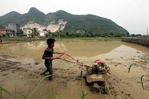 5月1日,在廣西柳州市融安縣長(zhǎng)安鎮(zhèn)大坡村,一名農(nóng)機(jī)手在耙田。時(shí)下正值春耕播種關(guān)鍵時(shí)期,廣西柳州市融安縣大力發(fā)展超級(jí)稻種植,通過(guò)推廣農(nóng)田精細(xì)化管理、配方施肥等技術(shù),有針對(duì)性地提高農(nóng)民科學(xué)種田水平,確保今年農(nóng)田增產(chǎn),農(nóng)民增收。目前該縣種植超級(jí)稻面積已達(dá)11.2萬(wàn)畝。
