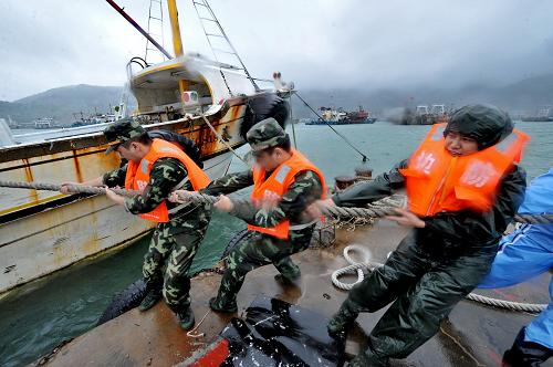6月20日,福建連江縣邊防官兵在黃岐臺(tái)輪停泊點(diǎn)冒雨加固臺(tái)輪。新華社記者 張國俊 攝