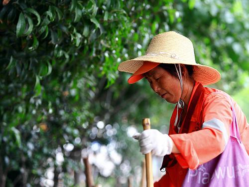 7月5日,環(huán)衛(wèi)工人李從英在清掃人行道上的垃圾。 當(dāng)日,合肥市氣象臺發(fā)布今年首個(gè)高溫橙色預(yù)警,預(yù)計(jì)城區(qū)最高溫度可達(dá)37攝氏度以上,一些行業(yè)的室外工作者依然在高溫下堅(jiān)守崗位,維持著城市的正常運(yùn)轉(zhuǎn)。 新華社記者 徐子鑒 攝