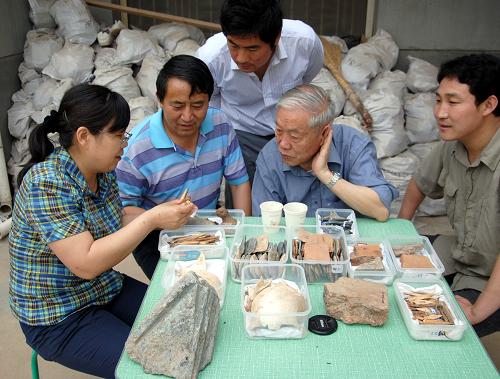 考古專家在鑒定藍(lán)田玉等出土文物(2010年11月攝)。新華社發(fā)