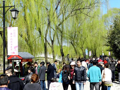 4月3日,綠柳掩映的北京圓明園,前來踏青賞景的游人川流不息。新華社發(fā)(王振 攝)