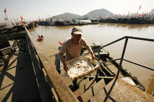 5月30日,在浙江舟山沈家門漁港,一位漁民捧著海魚上岸,準(zhǔn)備休漁。新華社發(fā)(胡社友 攝)