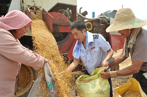 6月8日,江蘇睢寧縣國家稅務(wù)局組織的義務(wù)幫扶隊(duì)在官山鎮(zhèn)宋山村幫助農(nóng)民搶收小麥。“三夏”時節(jié),江蘇省睢寧縣組織開展千名機(jī)關(guān)干部“下基層、助三夏、送真情、辦實(shí)事”活動,幫助特困家庭和無勞力戶等弱勢群體搶收搶種。新華社發(fā)(洪星 攝)