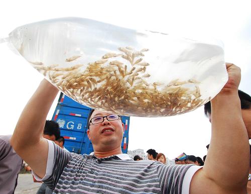 6月9日,一名市民展示準(zhǔn)備在長(zhǎng)江九江段水域放流的珍稀水生動(dòng)物胭脂魚魚苗。新華社發(fā)(胡國林 攝)