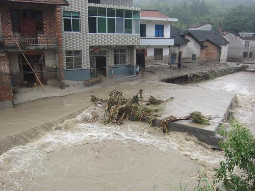 6月10日在湖南岳陽市臨湘市詹橋鎮(zhèn)觀山村拍攝的洪水過后景象。新華社發(fā)(郭峰 攝)