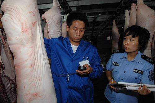7月12日,動(dòng)物檢疫工作人員在興平市宏源肉聯(lián)廠檢查豬肉水分含量。記者近期在走訪陜西省生豬主產(chǎn)區(qū)興平、武功等地了解到,本輪豬肉大幅漲價(jià)并達(dá)到歷史峰值并未帶動(dòng)周邊養(yǎng)殖戶的養(yǎng)豬積極性,豬源的緊缺導(dǎo)致肉價(jià)長期居高不下。在興平市宏源肉聯(lián)廠,近日進(jìn)廠生豬的屠宰量已由平日的800頭左右降至300至400頭。據(jù)宏源肉聯(lián)廠經(jīng)理任衛(wèi)斌介紹,原本興平市周邊有很多農(nóng)戶養(yǎng)豬,但2011年原來普遍的養(yǎng)豬大鎮(zhèn)已是鮮見。這家興平市最大的肉聯(lián)廠目前的生豬供應(yīng)戶也由50家縮水至20家左右。在武功縣代家鄉(xiāng)賈晁村養(yǎng)豬小區(qū),原本供7戶人家養(yǎng)豬的小區(qū)內(nèi)許多豬棚空空如也。養(yǎng)豬戶賈松柱說,這個(gè)養(yǎng)豬小區(qū)最多時(shí)曾經(jīng)養(yǎng)殖生豬500頭左右,由于近年豬肉價(jià)格大漲大跌,許多農(nóng)戶都因?yàn)轲B(yǎng)豬賠了錢,養(yǎng)豬不如打工掙錢多,反而要承擔(dān)更大的風(fēng)險(xiǎn),有的農(nóng)戶甚至把豬棚都賣了。養(yǎng)豬戶賈創(chuàng)安告訴記者,他家原有的三個(gè)養(yǎng)豬棚最多時(shí)一共養(yǎng)殖生豬180頭左右,目前只有40多頭。興平市南市鎮(zhèn)坡頭村的范俊才已經(jīng)為養(yǎng)殖生豬做好了準(zhǔn)備,能夠養(yǎng)殖100頭生豬的豬棚里已經(jīng)墊上了鋸末,但是仔豬價(jià)格過高讓他難以承受。大量的資金投入、過高的市場風(fēng)險(xiǎn)、難以取得的貸款都讓這戶曾經(jīng)靠養(yǎng)豬致富
