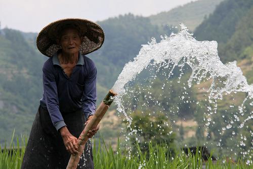 7月29日,在貴州銅仁地區(qū)印江土家族苗族自治縣杉樹鄉(xiāng)冉家村,農(nóng)民在田間澆水抗旱。新華社發(fā)(陳曉嵐 攝)