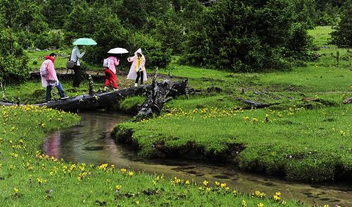 7月29日,游客在林芝新措景區(qū)游覽。新華社記者 陶希夷 攝