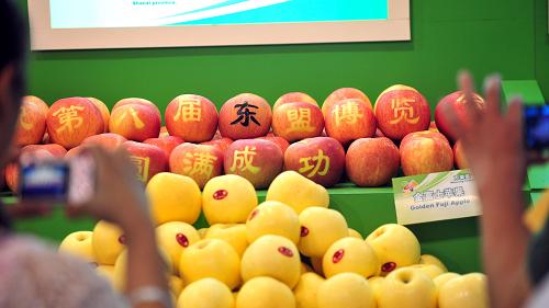 10月22日,在廣西南寧市廣西展覽館,一水果參展商展示貼字蘋(píng)果吸引參觀者。新華社記者 張愛(ài)林 攝