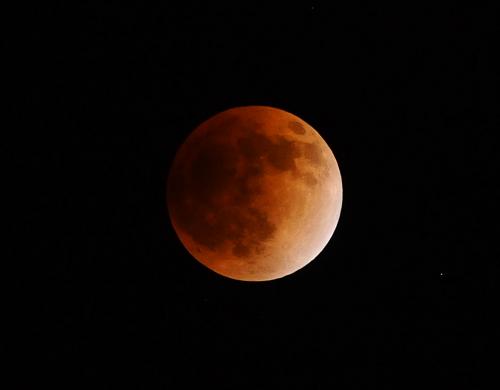 這是12月10日22點(diǎn)06分在太原拍攝的“紅月亮”。 當(dāng)日,我國(guó)上演10年來(lái)觀測(cè)條件最好月全食。 新華社記者 燕雁 攝
