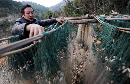 鄱陽(yáng)湖都昌水域漁民劉桂寶因無(wú)魚(yú)可打,在家門(mén)口曬網(wǎng)(1月6日攝)。新華社記者 周科 攝