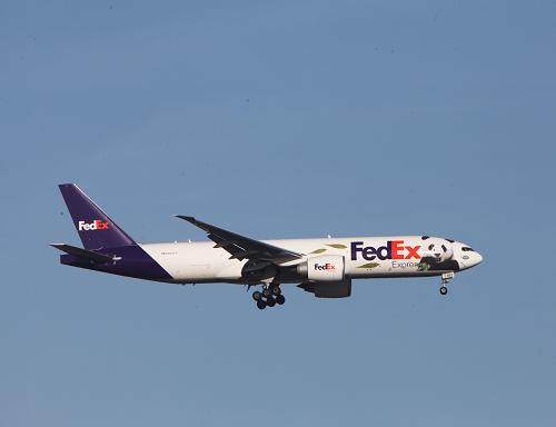1月15日,運送大熊貓“歡歡”和“圓仔”的專機抵達法國巴黎戴高樂機場。中國政府贈送法國政府的大熊貓“歡歡”和“圓仔”當日乘坐聯邦快遞專機抵達法國巴黎戴高樂國際機場。經過11個小時的長途飛行,“歡歡”和“圓仔”隨即將被運送到法國博瓦勒野生動物園,預計將于2月11日左右正式與法國游客見面。這是時隔十年后法國再次迎來來自中國的大熊貓,也即將拉開為期10年的中法大熊貓國際繁育合作計劃的序幕。新華社記者 高靜 攝