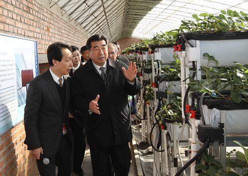 這是回良玉等參觀草莓博覽園。新華社記者 劉衛(wèi)兵 攝