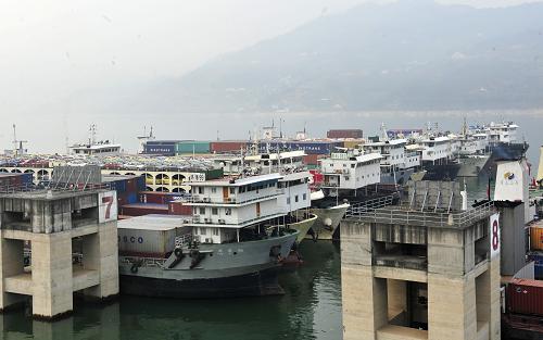 3月16日,大量船舶??吭谌龒{五級船閘上游湖北宜昌市秭歸縣沙灣錨地等待過閘。新華社發(fā)(鄭家裕 攝)
