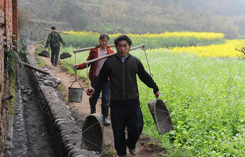 3月17日,在四川省峨眉山市綏山鎮(zhèn)大廟村,當(dāng)?shù)卮迕裾谛藿ㄏ蟊茄摺P氯A社記者 江宏景 攝