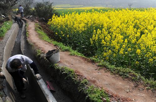 3月17日,在四川省峨眉山市綏山鎮(zhèn)大廟村,當(dāng)?shù)卮迕裾谛藿ㄏ蟊茄?。新華社記者 江宏景 攝