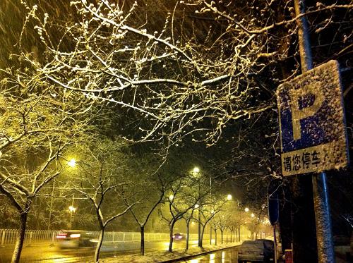 3月18日凌晨北京街頭雪景。 3月17日深夜至18日凌晨,北京市區(qū)突迎降雪,京城大地一派銀裝素裹。 新華社記者侯俊攝