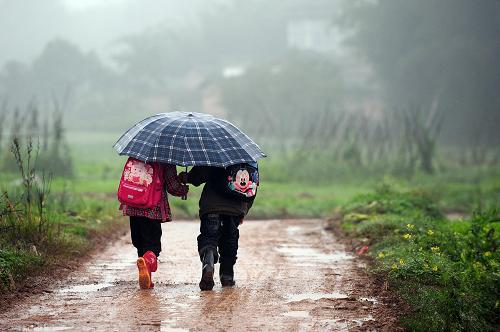 在廣西桂平市南木鎮(zhèn)楠木村,兩名小學(xué)生撐著雨傘走在回家的路上(3月15日攝)。新華社記者 黃孝邦 攝