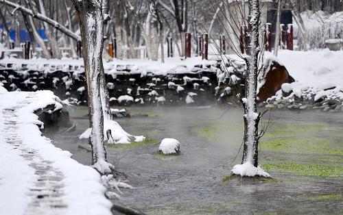 3月20日,在落滿積雪的烏魯木齊市水磨溝公園中,溫泉水在汩汩流淌。新華社記者 王菲 攝