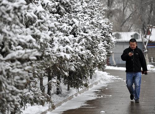 3月20日,一位市民走在落滿積雪的烏魯木齊市紅山公園中。新華社記者 王菲 攝