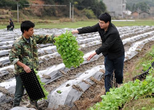 3月20日,江西南豐縣傅坊鄉(xiāng)荷塘村農(nóng)民在一起搬運(yùn)煙苗。記者近日在江西南豐縣一些鄉(xiāng)村看到,田間地頭到處呈現(xiàn)一派繁忙景象。為搶抓農(nóng)時,及時將春季農(nóng)作物栽種下去,許多農(nóng)民在雨水停歇后,自由組建“春耕互幫互助組”,一起共同完成培土、鋪膜、栽種等各項(xiàng)春耕生產(chǎn)活動。村民們紛紛表示,這種方法既加快了春耕進(jìn)程,又節(jié)約了雇請勞力的工錢。新華社記者 周科 攝