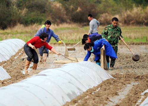 3月22日,江西樂安縣龔坊鎮(zhèn)旭光水稻專業(yè)合作社成員在農田育秧。新華社記者 周科 攝