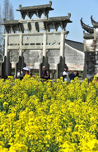 4月1日,幾名游客在歙縣棠樾村牌坊群踏春賞花。新華社記者劉軍喜攝