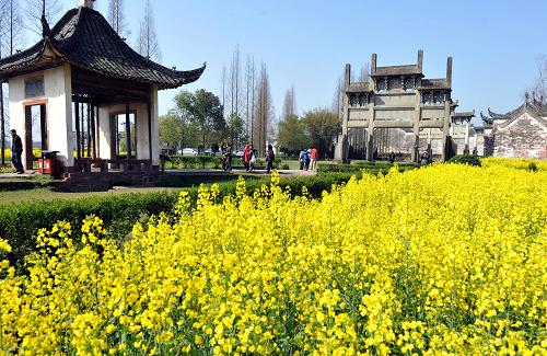 4月1日,游客在歙縣棠樾村牌坊群踏春賞花。新華社記者劉軍喜攝