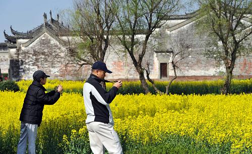 4月1日,兩名游客在歙縣棠樾村拍攝油菜花。新華社記者劉軍喜攝