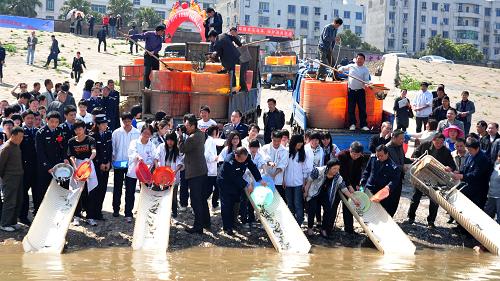 4月1日,參加增殖放流活動(dòng)的人員在長(zhǎng)江江西九江段放流魚(yú)苗。 當(dāng)日,2012年長(zhǎng)江春季禁漁及增殖放流活動(dòng)全面啟動(dòng),長(zhǎng)江江西九江段放流魚(yú)苗約60萬(wàn)尾。為保護(hù)和恢復(fù)長(zhǎng)江漁業(yè)資源,長(zhǎng)江葛洲壩至下游的上海崇明島江段從4月1日至6月30日,將開(kāi)展為期3個(gè)月的禁漁工作。長(zhǎng)江上游至葛洲壩江段從2月1日至4月30日禁漁。 新華社發(fā)(胡國(guó)林 攝)