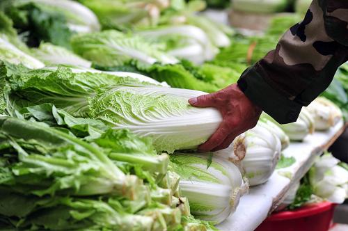 5月5日,居民在廣西田林縣菜市購買白菜。 “一棵白菜售價(jià)能買一斤半豬肉!” 往年在天氣轉(zhuǎn)暖后會(huì)大幅下跌的部分蔬菜價(jià)格,今年5月卻逆勢(shì)而上,創(chuàng)出新高。菜價(jià)緣何又瘋漲?新華社“新華視點(diǎn)”記者趕赴山東、廣西等蔬菜主產(chǎn)區(qū),就此進(jìn)行了調(diào)查采訪。 新華社記者 黃孝邦 攝