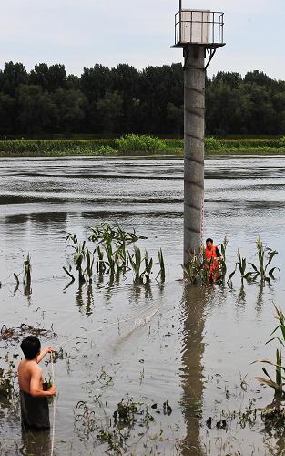 7月23日,洪峰過后,兩名技術(shù)人員在搶修位于青龍灣減河狼兒窩分洪閘附近的一處水位自記觀測(cè)平臺(tái)。由于上游洪水來勢(shì)猛、水流急,此處水位自記觀測(cè)平臺(tái)出現(xiàn)了故障。 7月21日,北京出現(xiàn)61年來最大降水。為全面下泄上游洪水,天津市提前開啟多道閘門,全力趕潮放水。截至7月23日,超標(biāo)準(zhǔn)洪水洪峰由北京市北運(yùn)河安全流經(jīng)天津境內(nèi),現(xiàn)已匯入潮白新河入海。 據(jù)了解,位于天津境內(nèi)的青龍灣減河是此次洪水的必經(jīng)之地,成為本次泄洪的重點(diǎn)河段。7月22日22時(shí),平日水位在4米左右的青龍灣減河狼兒窩分洪閘閘上出現(xiàn)最高水位8.16米的記錄,超過分洪水位0.06米。目前,洪峰已安全通過青龍灣減河,狼兒窩分洪閘水位降至7.4米左右。 新華社記者 張超群攝