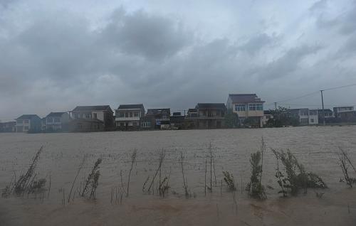 8月8日,浙江寧??h長(zhǎng)街鎮(zhèn)月蘭村村頭,房屋前的成片農(nóng)田被大水淹沒(méi)。今年第11號(hào)強(qiáng)臺(tái)風(fēng)“海葵”8月8日凌晨3時(shí)20分在浙江省三門(mén)灣北側(cè)的象山縣鶴浦鎮(zhèn)登陸。同位于三門(mén)灣北側(cè)的寧海縣長(zhǎng)街鎮(zhèn),因臨近此次臺(tái)風(fēng)登陸點(diǎn)成為重災(zāi)區(qū)。作為寧??h“糧倉(cāng)”的長(zhǎng)街鎮(zhèn),8萬(wàn)多畝農(nóng)田被淹,大量養(yǎng)殖塘漫塘,據(jù)當(dāng)?shù)卣块T(mén)初步統(tǒng)計(jì),直接經(jīng)濟(jì)損失已近6億元。新華社記者 韓傳號(hào) 攝