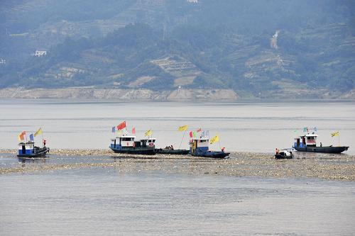 9月16日,清漂船在三峽大壩壩前水域清理漂浮物。今年第二輪秋季洪峰過(guò)后,洪水裹挾著從上游沖刷下來(lái)的垃圾、樹(shù)枝等漂浮物積聚在三峽大壩壩前水域。為減輕漂浮物對(duì)三峽樞紐建筑物的影響,確保三峽水庫(kù)水質(zhì)不受污染和船舶航行安全,湖北省秭歸縣環(huán)保局組織人力和清漂船舶,集中開(kāi)展應(yīng)急清漂作業(yè)。新華社發(fā)(王家滿 攝)
