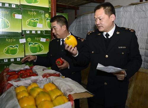 在霍爾果斯口岸一家貨場里,霍爾果斯海關的工作人員在查驗準備出口哈薩克斯坦的新鮮彩椒(12月23日攝)。新華社記者 趙戈 攝